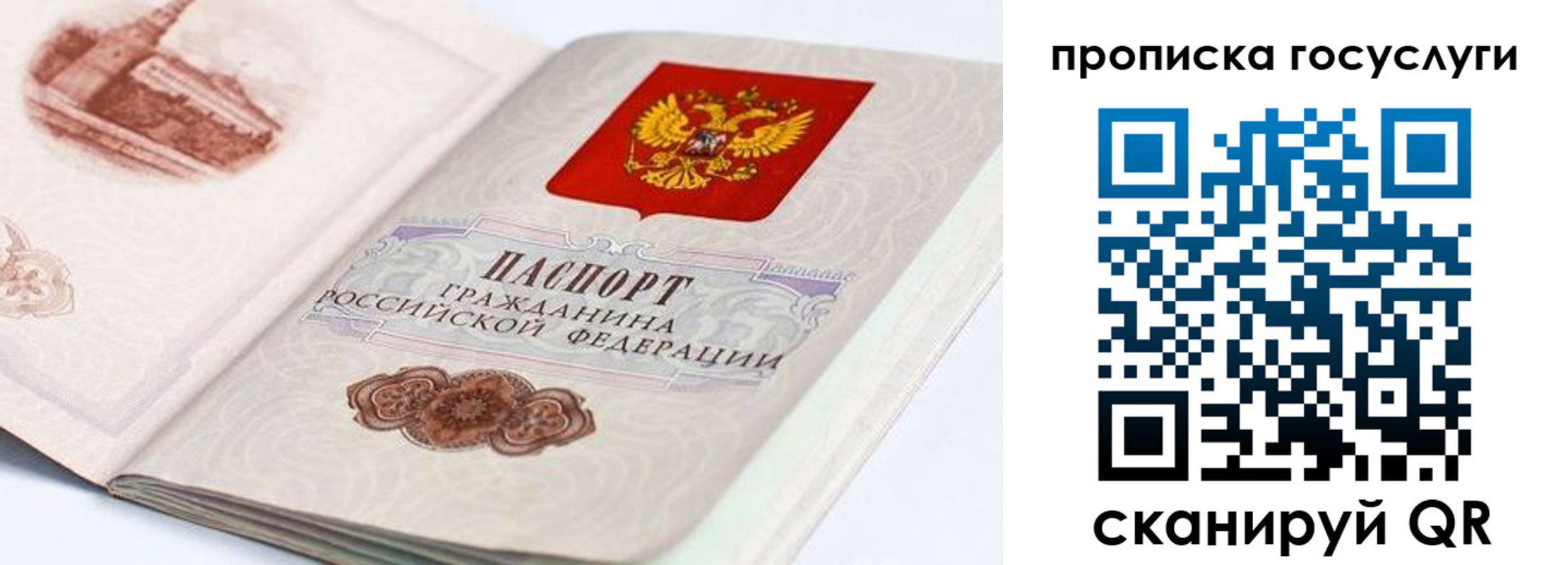 прописка регистрация в Каменке